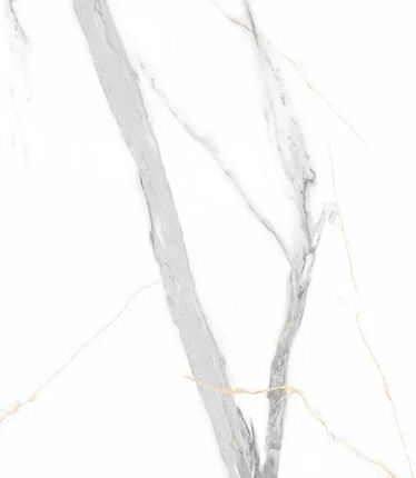 Panele ścienne SPC VILO Calacatta White 60X120 cm