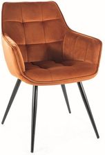 Zdjęcie Signal Meble Krzesło Lilia Velvet Czarny Bluvel 4215 Cynamonowy 100385547 - Katowice