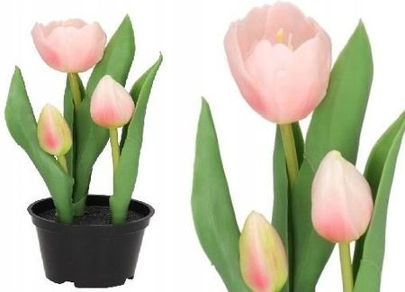 Deko Tulipany Bukiet Tulipanów Kwiaty Gumowe Jak Żywe Acd2A7A4-F2Ca-4665-996F-21B6Fb73C856