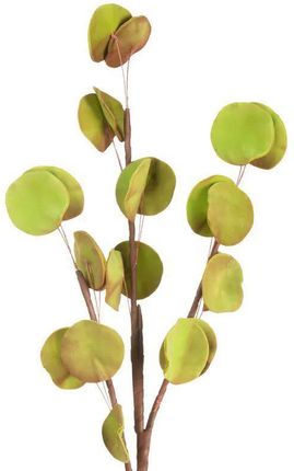 Eurofirany Sztuczny Kwiat Dekoracyjny Eukaliptus Flore Zielony X6 86940