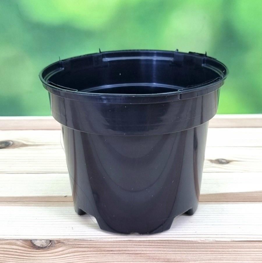 Doniczki Produkcyjne Okr g e Fi 13cm 1L 100Szt Ceny I Opinie Ceneo pl doniczki-produkcyjne-okr-g-e-fi-13cm-1l-100szt-ceny-i-opinie-ceneo-pl