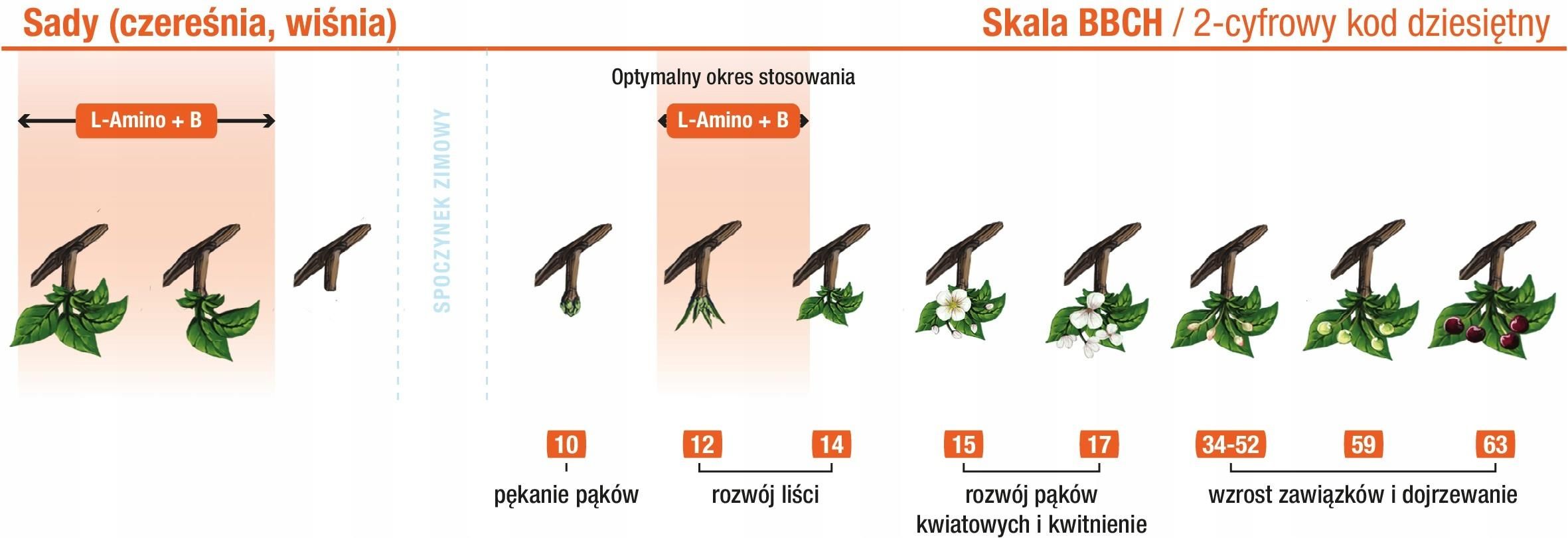 Nawóz Aminokwasy Agro-Sorb L-Amino+ B Zwiększone Plony - Ceny I Opinie ...