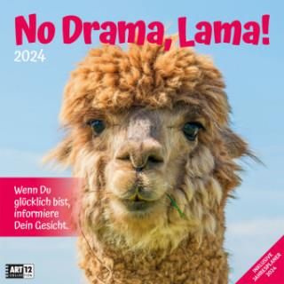No Drama, Lama! Kalender 2024 - 30x30 - Literatura obcojęzyczna - Ceny i opinie - Ceneo.pl