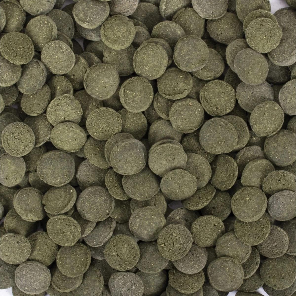 Tropical Hi-Algae Discs 100Ml 60G 61333 6 25178 - Ceny i opinie - Ceneo.pl