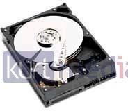 WD WD AV-GP 320GB SATA 6Gb/s (WD3200AUDX)