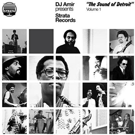 Dj Amir Presents Strata Records-The Sound Of Detroit Volume 1 [3xWinyl]