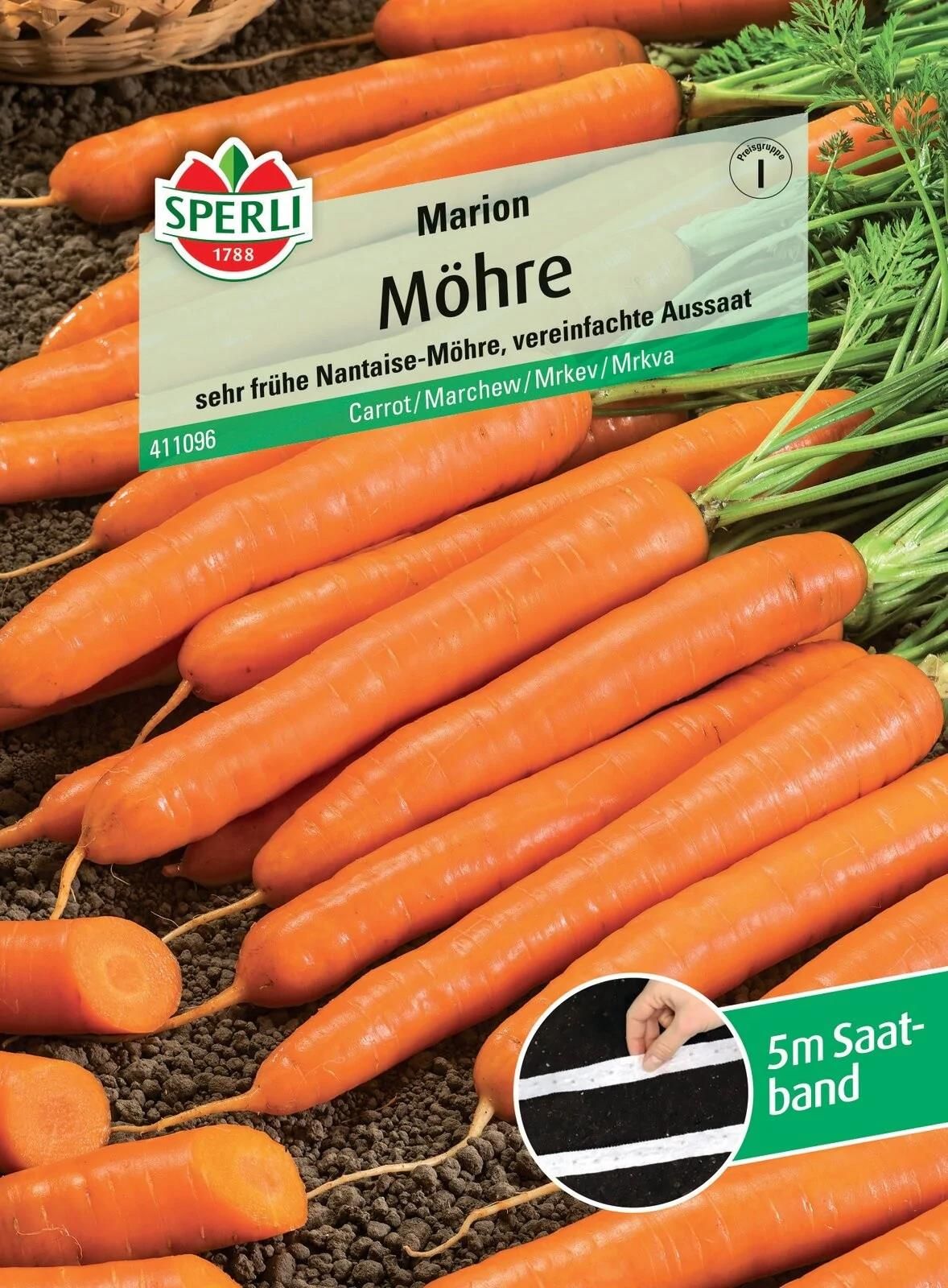 Sperli Möhrensamen Marion F1 Saatband - 5m Karottensamen Für Knackige Möhren
