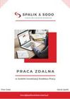 Praca Zdalna W świetle Nowelizacji Kodeksu Pracy - Piotr Sodo (E-book ...