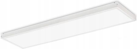 Ecolight Panel Natynkowy Sufitowy Lampa 120X30 50W 6000K (5903699350164)