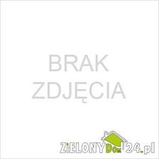 Zdjęcie Viega Złączka Gw 18x1 - Gniezno