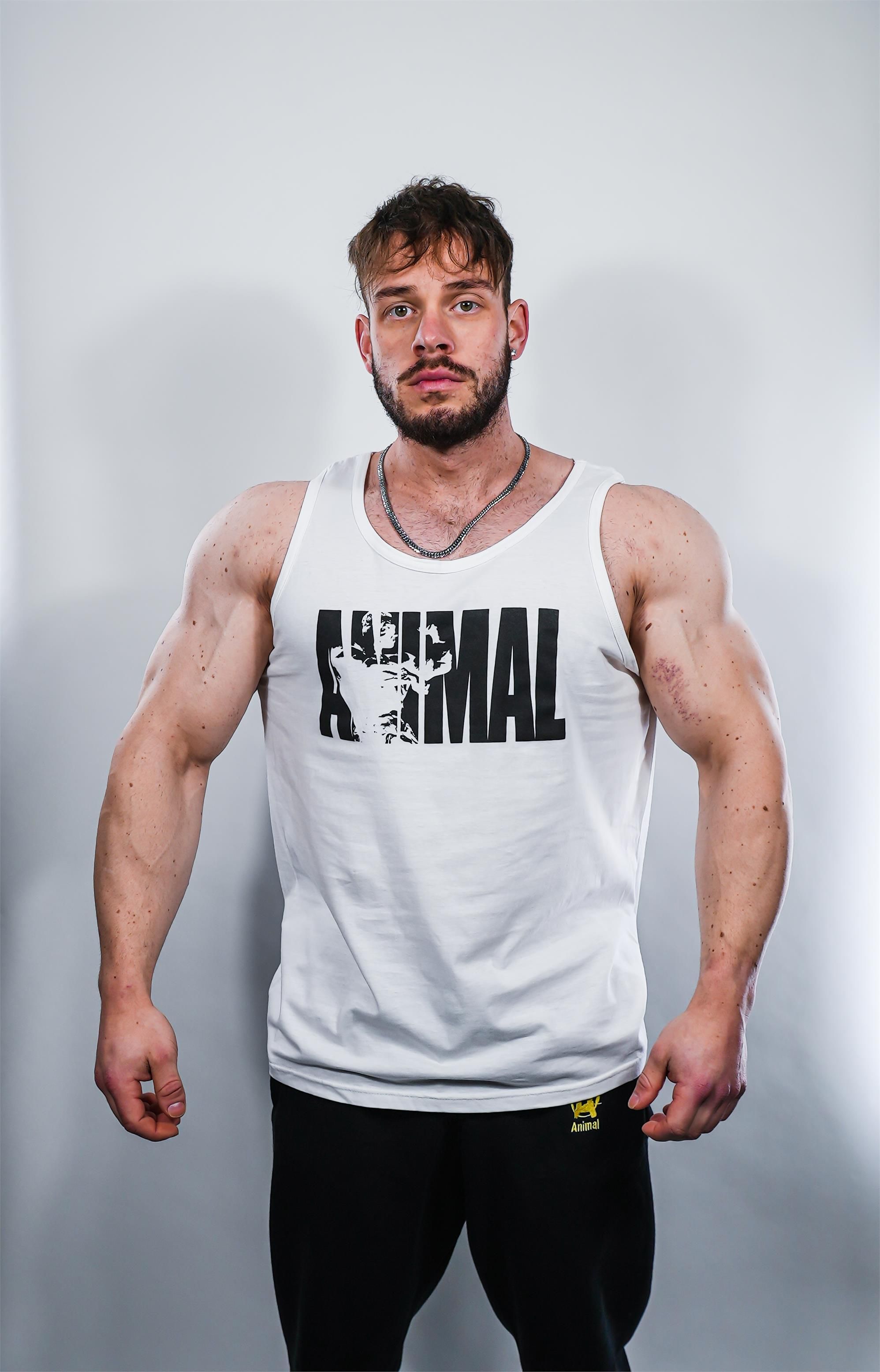 Universal Animal Tank Top L Ceny I Opinie Ceneo pl universal-animal-tank-top-l-ceny-i-opinie-ceneo-pl