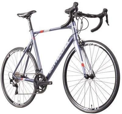 Bottecchia Duello Męski Szary 28 2022