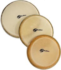 Zdjęcie Soundsation SDH-12 - naciąg do Djembe 12" - Będzin
