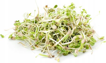 Nasiona Na Kiełki Mieszanka Łagodna 30G Nswkd009 - zdjęcie 3