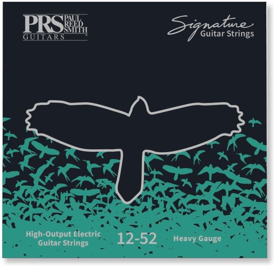 Struna PRS Signature Strings, Heavy - Ceny i opinie - Ceneo.pl