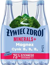 Zdjęcie Żywiec Zdrój Minerals+ Napój gazowany 6 x 1,2 l - Poznań