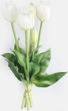 Faktor Tulipan Gumowany Bukiet X 5 1szt. QA38102