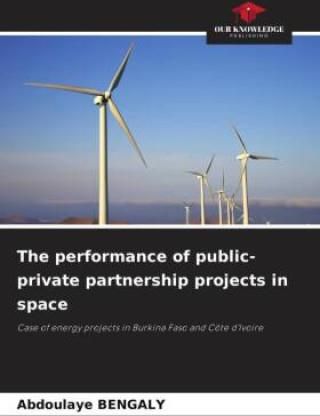 The performance of public-private partnership projects in space