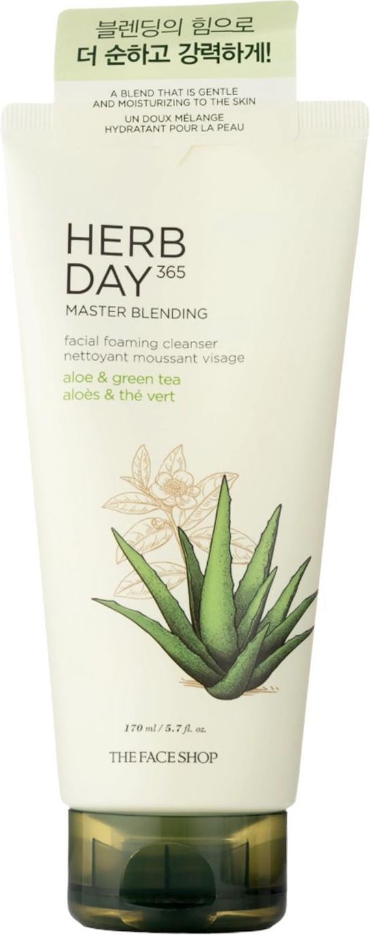 The Face Shop Herb Day 365 Master Blending Foaming Cleanser Aloe