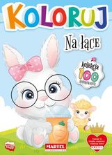 Zdjęcie Koloruj Na Łące - Oborniki Śląskie