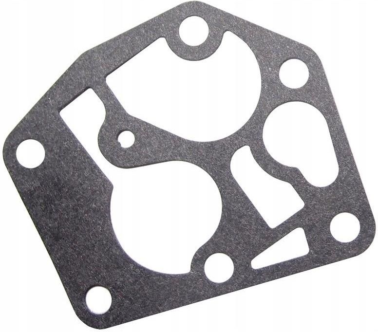 Raisman Kit 10 Membrane Per Carburatore Briggs &amp; Stratton 495770 795083 5083