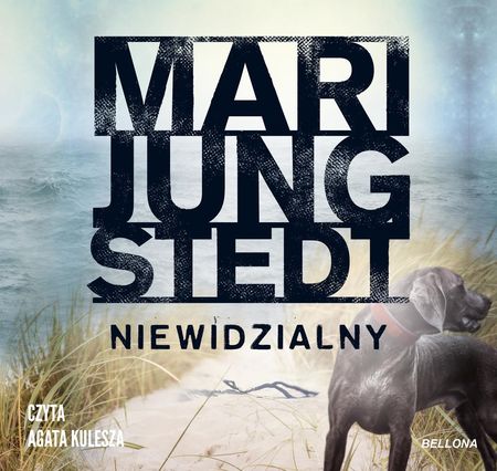 Niewidzialny mp3 Mari Jungstedt (Audiobook)