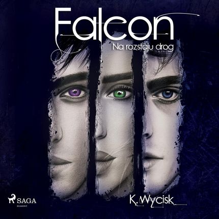 Falcon II Na rozstaju dróg (Audiobook)