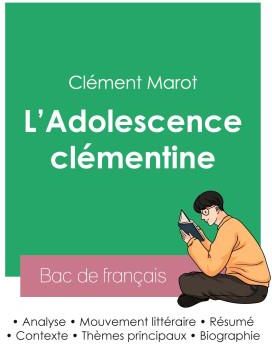 R Ussir Son Bac De Fran Ais Analyse De L Adolescence Cl Mentine