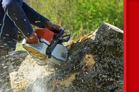 Mocne Sprzęgło Do Husqvarna 340 345 346 350 - zdjęcie 2