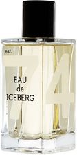 Perfumy ICEBERG Eau de Iceberg Women est.74 woda toaletowa spray 100ml TESTER - zdjęcie 1