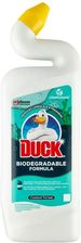 Zdjęcie Duck Coastal Forest Żel do czyszczenia toalet 750 ml - Olecko
