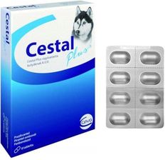 Zdjęcie Ceva Cestal Plus Tabletki Na Odrobaczenie Dla Psów 8szt. - Dobrodzień