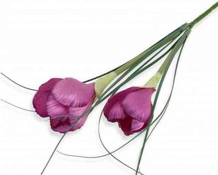 Krokus Gałązka Podwójna Amarant Sztuczne Kwiaty Jak Żywe 3342