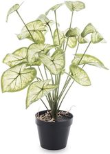 Zdjęcie Art Pol Roślina Dekoracyjna 109448 - Wojkowice