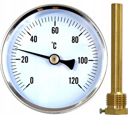 Esco Profesjonalny Termometr Duży Fi80 Do Wędzarni 10Cm TPM03T100G12_FI80