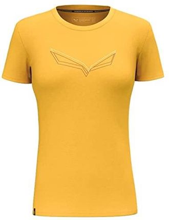 SALEWA Koszulka Markowa Model Pure Eagle Frame Dry W T-Shirt