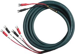 Zdjęcie Cardas Audio Parsec Speaker Kabel Głośnikowy - 3M - Poznań