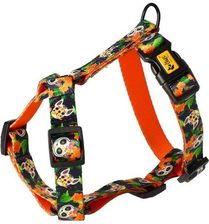 Zdjęcie Dingo Szelki Dwupaskowe Guard City - Chiapas Rozmiar S - Mrozy