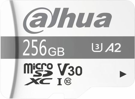 Karta pamięci 256GB DAHUA TF-P100/256G