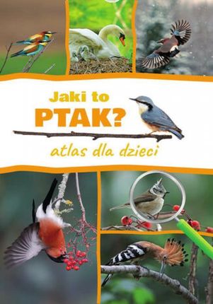 Jaki to ptak? Atlas dla dzieci pdf Dominik Marchowski