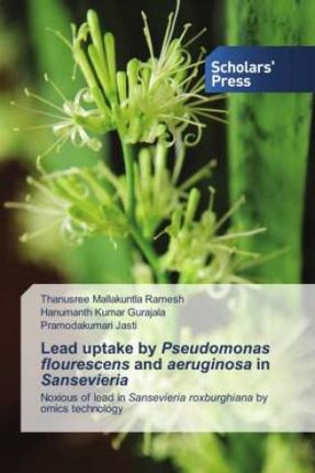 Lead uptake by Pseudomonas flourescens and aeruginosa in Sansevieria