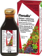 FLORADIX żelazo i witaminy tonik 500ml - dobre Układ nerwowy i pamięć
