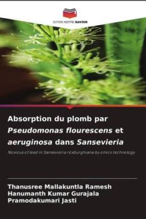 Absorption du plomb par Pseudomonas flourescens et aeruginosa dans Sansevieria