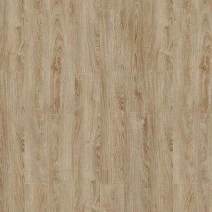 Moduleo Midland Oak 22231LR