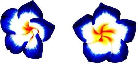 Nefryt Kolczyki kwiaty hawajskie kolor ciemnoniebieski
