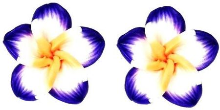Nefryt Kolczyki kwiaty hawajskie kolor fioletowy