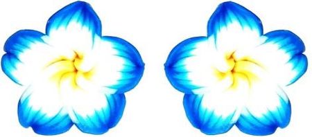Nefryt Kolczyki kwiaty hawajskie kolor niebieski