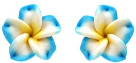 Nefryt Kolczyki kwiaty hawajskie niebieski biały z żółtym