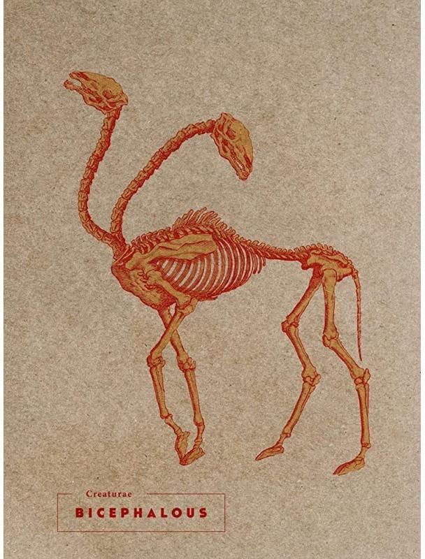 Notes Bicephalous Ceny i opinie Ceneo.pl