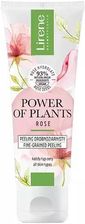 Zdjęcie Lirene Power Of Plants Róża Peeling Drobnoziarnisty 75 ml - Piła